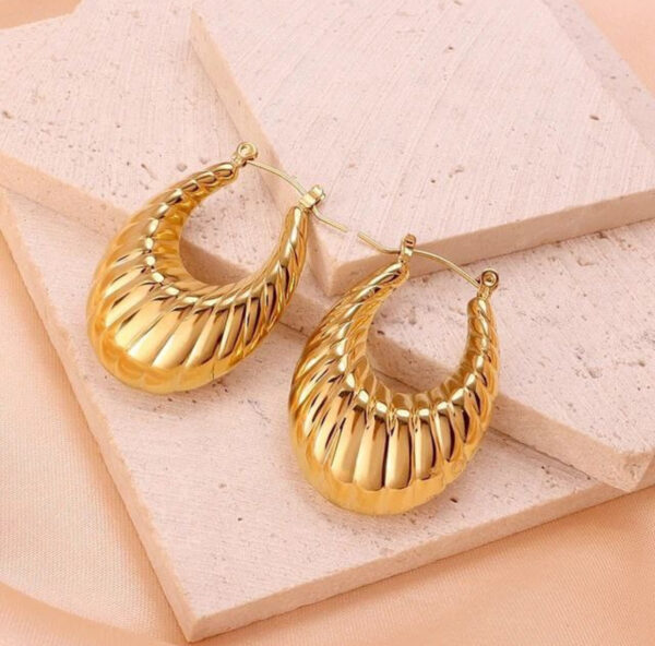 1019 Gold Plated Earrings