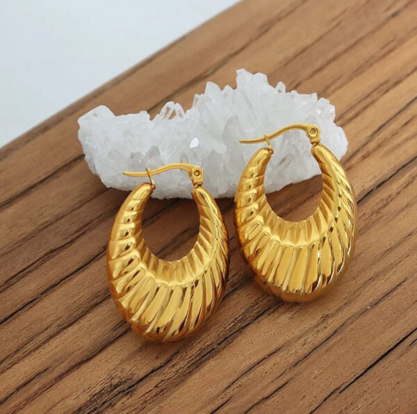 1019 Gold Plated Earrings - Image 3