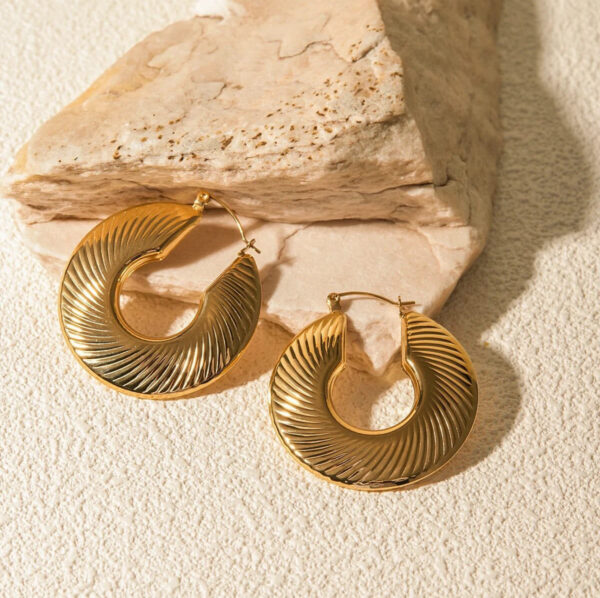 1016 Gold Plated Earrings