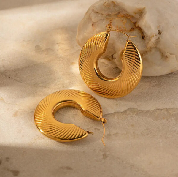 1016 Gold Plated Earrings - Image 2