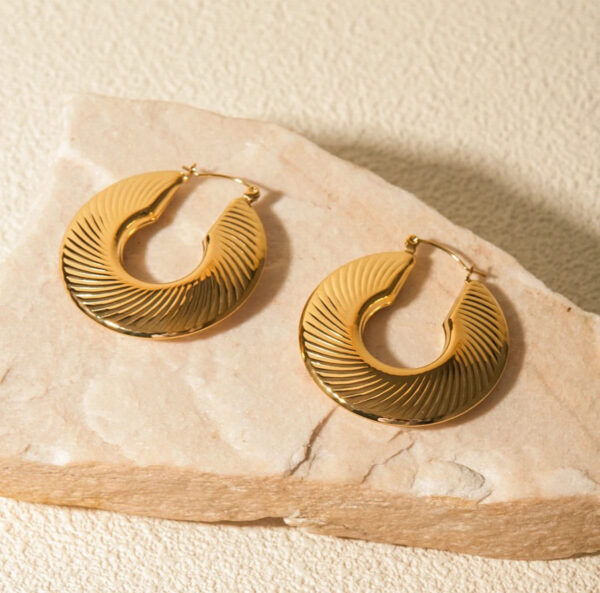 1016 Gold Plated Earrings - Image 3