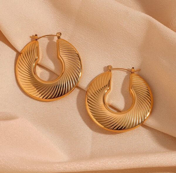 1016 Gold Plated Earrings - Image 5