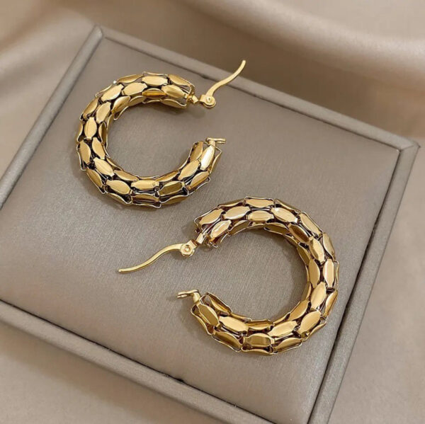 1037 Gold Plated Earrings