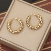 1037 Gold Plated Earrings