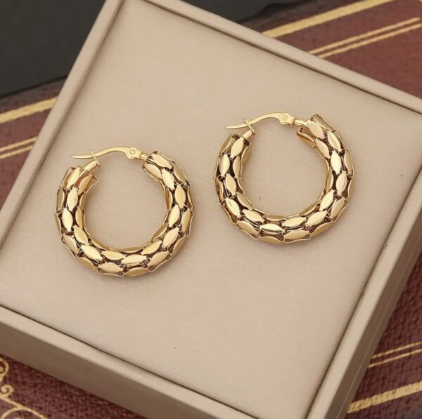 1037 Gold Plated Earrings - Image 2