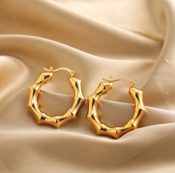 1036 Gold Plated Earrings - Image 2