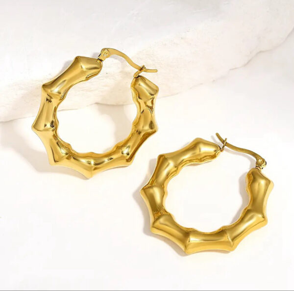 1036 Gold Plated Earrings - Image 5