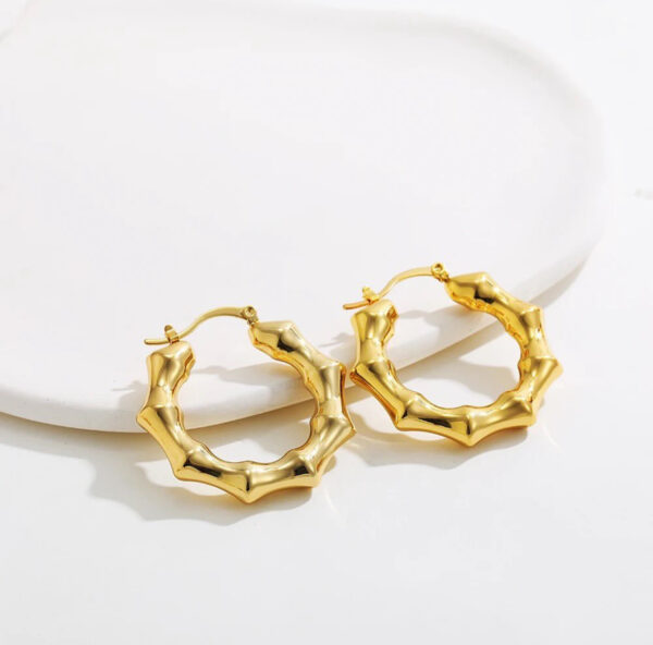 1036 Gold Plated Earrings - Image 6