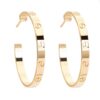 1018 Gold Plated Earrings