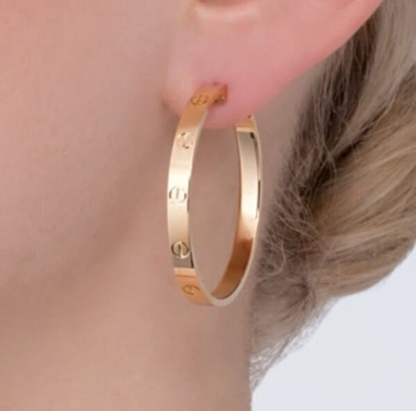 1018 Gold Plated Earrings