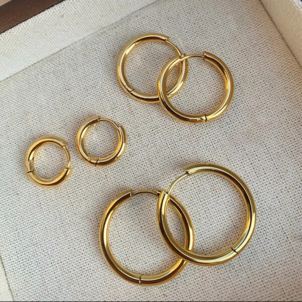 1331 Gold Plated Earrings - Image 5