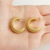 1730 Gold Plated Earrings