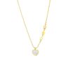 1683 Gold Plated Necklace